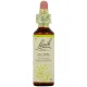 Fleurs de Bach Olive n°23