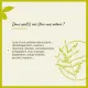 Fleurs de Bach Olive n°23