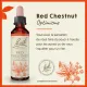 Fleurs de Bach Red Chestnut n°25