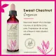 Fleurs de Bach Sweet Chestnut n°30