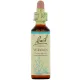Fleurs de Bach Vervain n°31