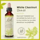 Fleurs de Bach White Chesnut n°35