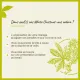 Fleurs de Bach White Chesnut n°35