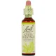 Fleurs de Bach White Chesnut n°35