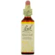 Fleurs de Bach Wild Oat n°36