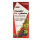Floradix Fer + Plantes