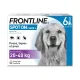 Frontline Spot-On
