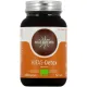Hifas da Terra Hifas-Detox