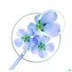 Klorane Shampoing Sec Volume au Lin Bio
