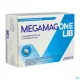 Megamag One