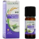 Naturactive Huile Essentielle Citronnelle de Java Bio