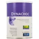 Pileje Dynachoc Chocolat