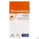 Pileje Neurobiane