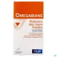 Pileje Omegabiane Poissons des Mers Froides
