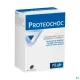 Pileje Proteochoc