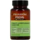 Pranarôm Aromaboost Focus