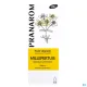 Pranarom Huile de macération millepertuis Bio