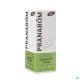 Pranarom huile essentielle camomille noble