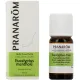 Pranarom huile essentielle d'Eucalyptus mentholé
