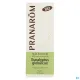 Pranarom Huile Essentielle Eucalyptus globuleux