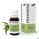 Pranarom Huile Essentielle Eucalyptus globuleux