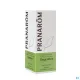 Pranarom huile essentielle gingembre