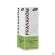 Pranarom huile essentielle Ylang-ylang
