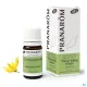 Pranarom huile essentielle Ylang-ylang