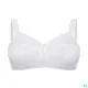 S/G Lola Thuasne Blc