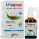 Salvigorge