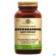 Solgar Sfp Ashwagandha Gélules VEG60