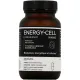 Synactifs Energy Cell Métabolisme Energétique et Cellulaire