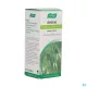 Vogel - Epf Avoine -