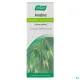Vogel - Epf Avoine -
