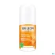 Weleda Déodorant Roll-on 24h Argousier