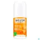 Weleda Déodorant Roll-on 24h Argousier