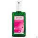 Weleda Déodorant Spray 24h Rose Musquée
