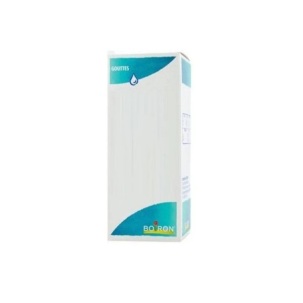 Boiron Valeriana Officinalis 4DH Gouttes 60ml
