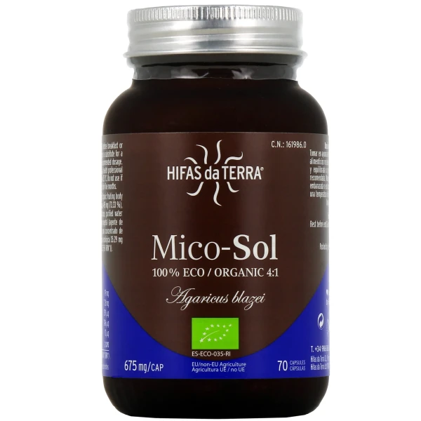 Hifas da Terra Mico-Sol