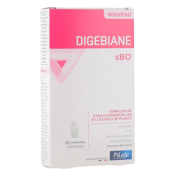 Pileje Digebiane sBO