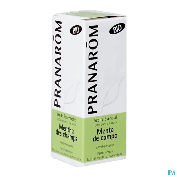 Pranarom Huile Essentielle Menthe des Champs Bio