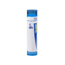 BOIRON EQUISETUM HIEMALE 9CH tube-granules