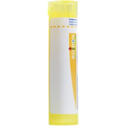 BOIRON NERFS 4CH tube-granules