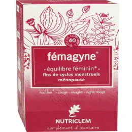 FEMAGYNE EQUILIBRE FEMININ - 40 Comprimes