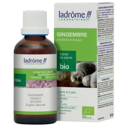 Xtrait de Plantes Fraîches Bio Gingembre 50 ml