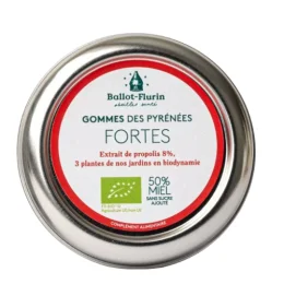 Gommes Fortes Bio - 30 g