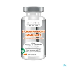 5 Champignons