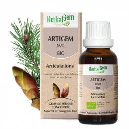 Artigem Bio Pour le Maintien de la Souplesse Des Articulations Complexe de Gemmothérapie Concentrée 30 ml