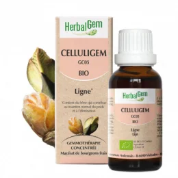 Celluligem Bio Complexe Minceur de Gemmothérapie Concentrée 30 ml