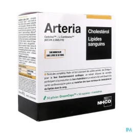 Arteria Cholestérol